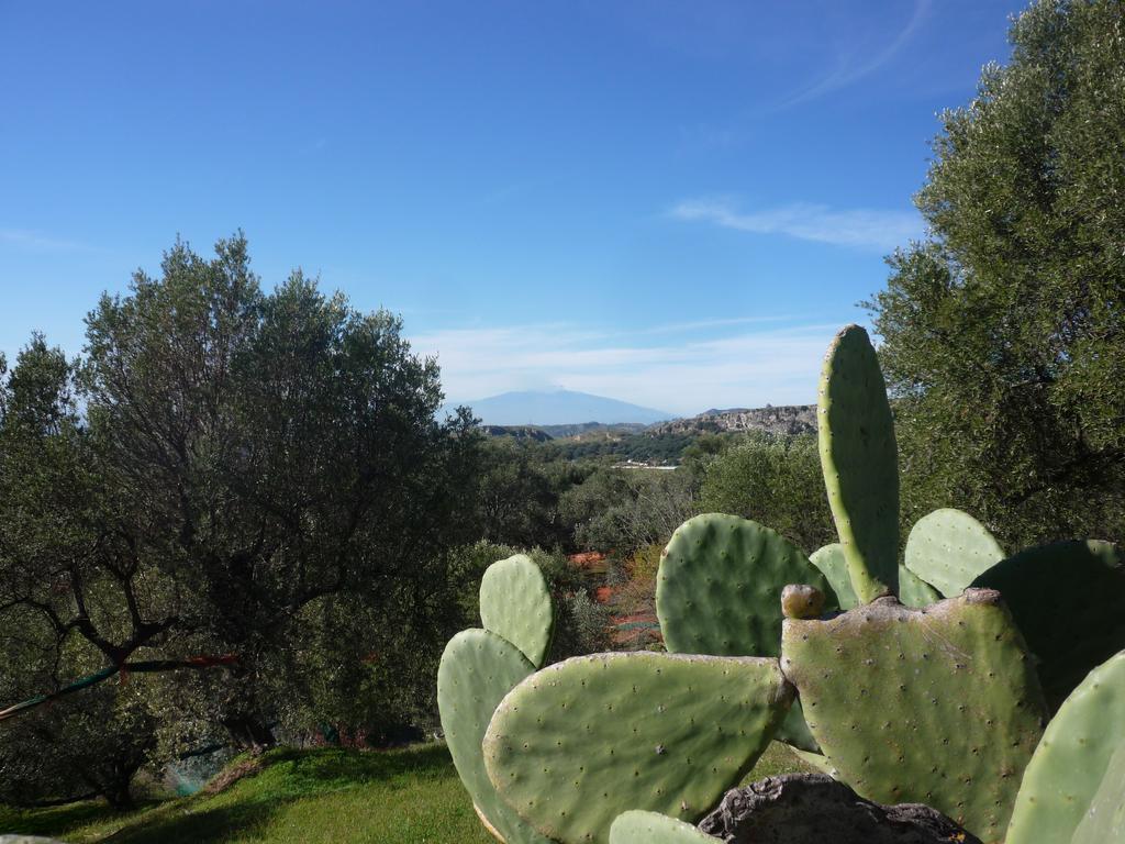 Bed and Breakfast Rocca Del Vento San Pantaleone Экстерьер фото